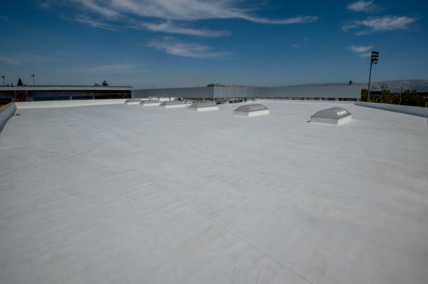 Best Roof Moss and Algae Removal  in Belding, MI