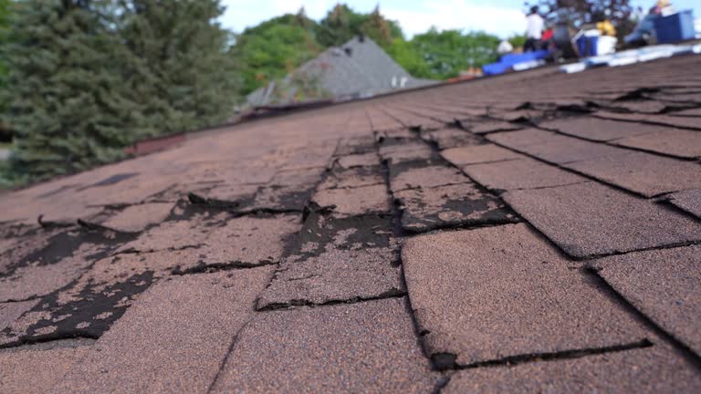 Best Roof Leak Repair  in Belding, MI