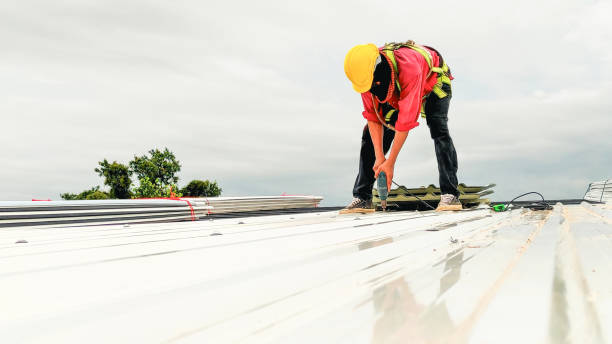 Best Metal Roofing Installation  in Belding, MI