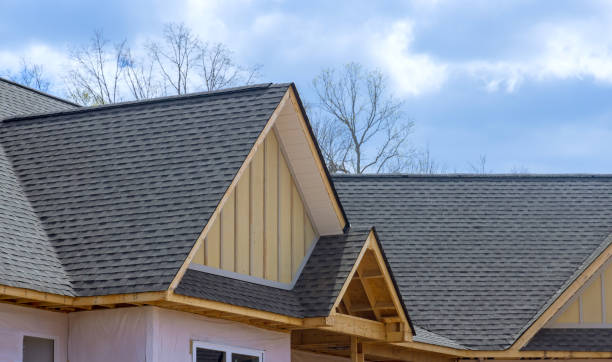 Best Gutter Installation and Repair  in Belding, MI