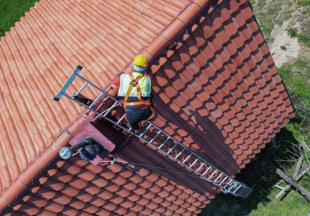 Best Rubber Roofing (EPDM, TPO)  in Belding, MI